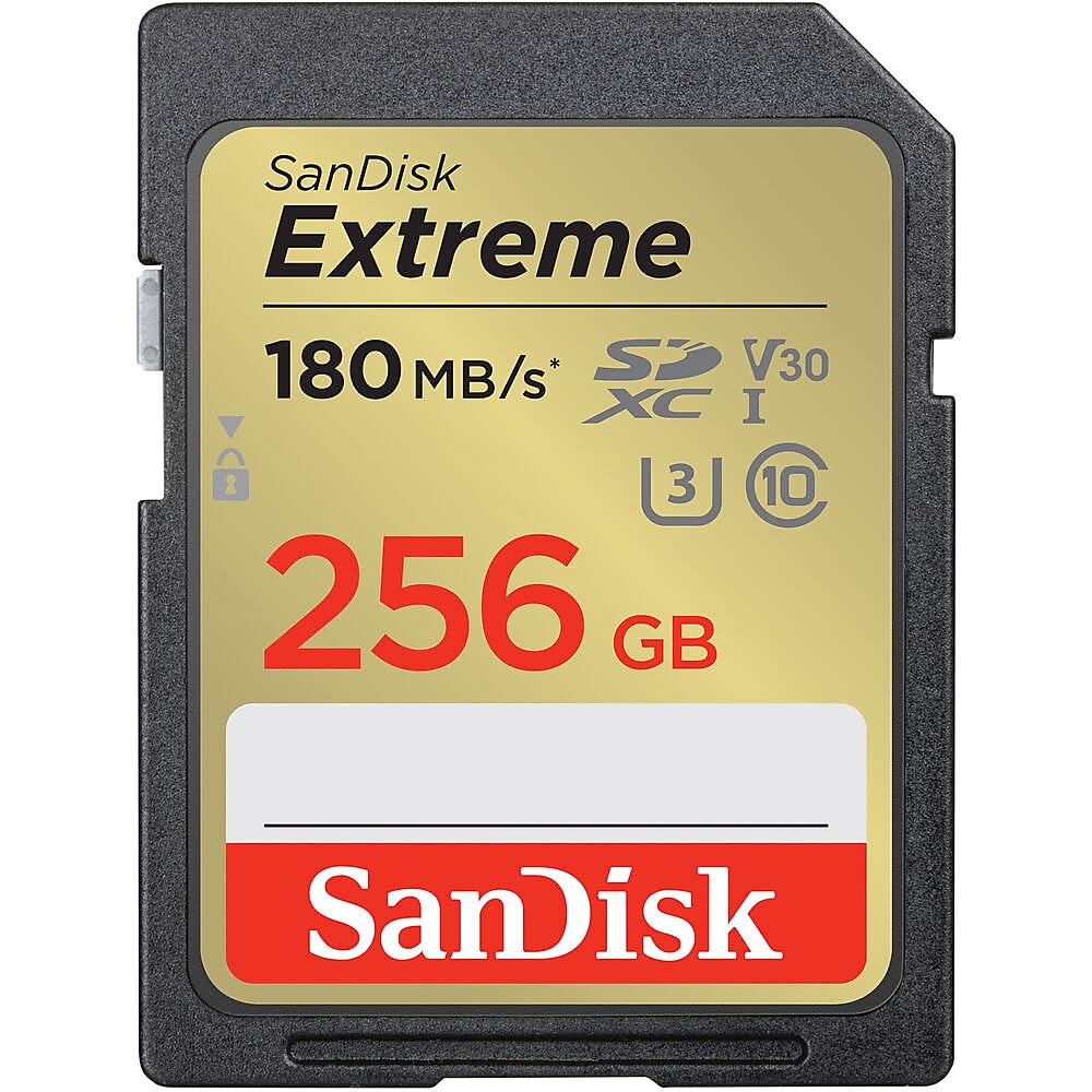 SanDisk Extreme 256GB SDHC Memory Card, Class 10, U3, V30, (SDSDXVV-256G-ANCIN)