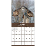 2026 TF Publishing Owls 12" x 12" Monthly Wall Calendar (26-1044)