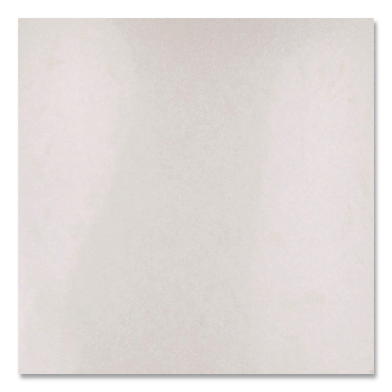 Rust-Oleum Universal Premium Metallic Spray Paint, Metallic Capiz, 11 oz., 6/Carton (371597)
