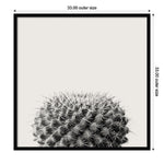 Amanti Art Haze Cactus Succulent by The Creative Bunch Studio Wood Framed Wall Art Print, 33" x 33" (A42675345780)