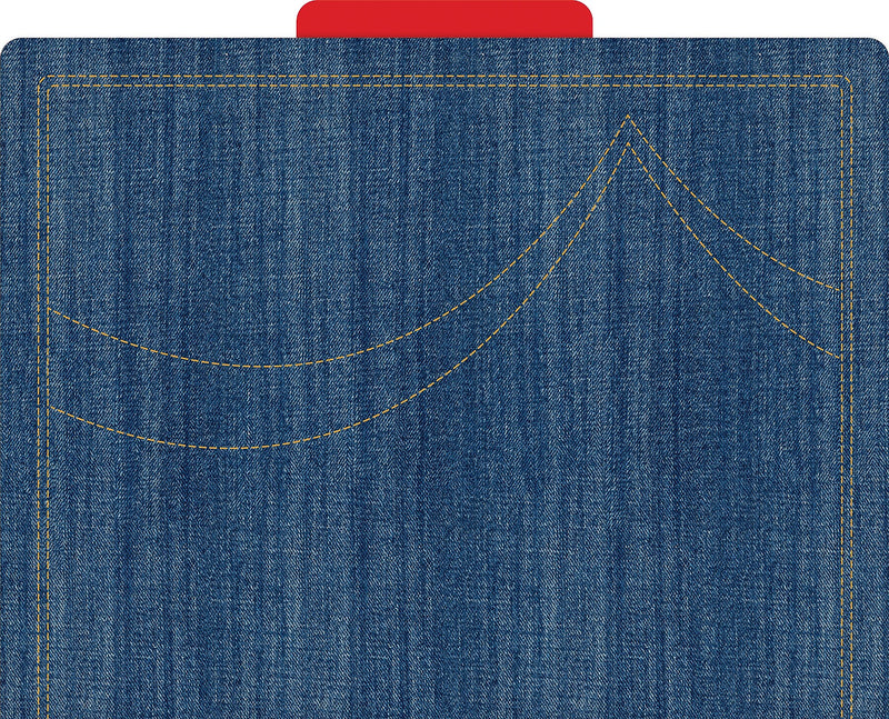 Barker Creek Denim File Folder, 1/3-Cut Tab, Letter Size, Multicolor, 36/Set (BC3915)