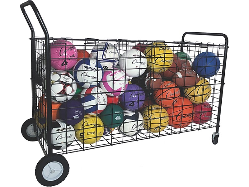 Champion Sports Double-Sided Ball Locker, Black (DSLX)