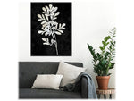 Amanti Art Plant Life White on Black II, Canvas, 23" x 30" (A42675515283)