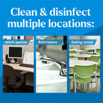 Clorox EcoClean Disinfecting Wipes, 75 Wipes/Container (60605)