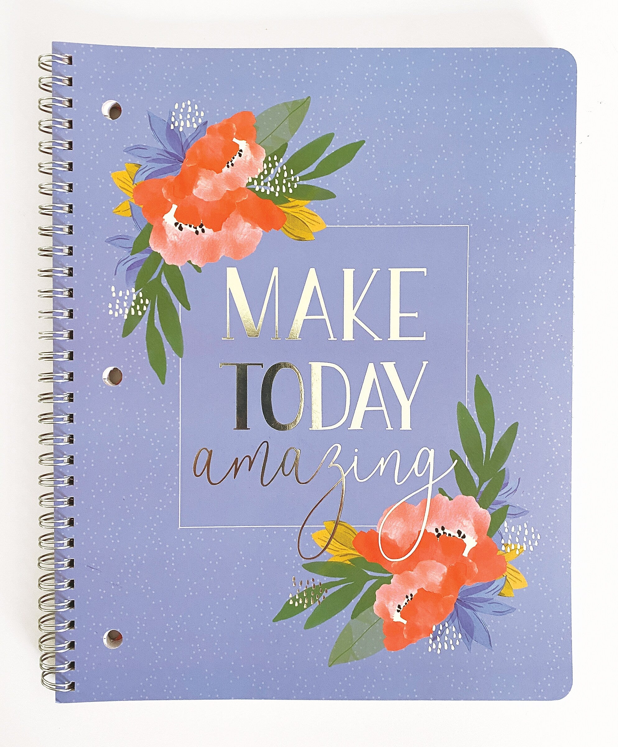 Carolina Pad Silver Lining 1-Subject Notebook, 8.5" x 10.5", College-Ruled, 80 Sheets (00001)