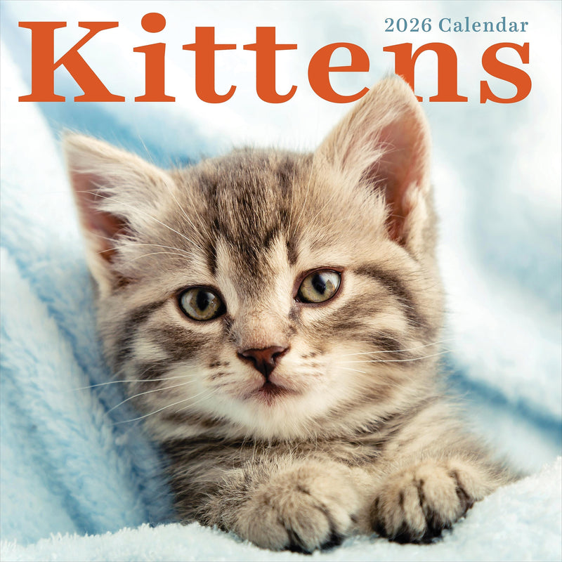 2026 TF Publishing Kittens 12" x 12" Monthly Wall Calendar, Multi (26-1013)