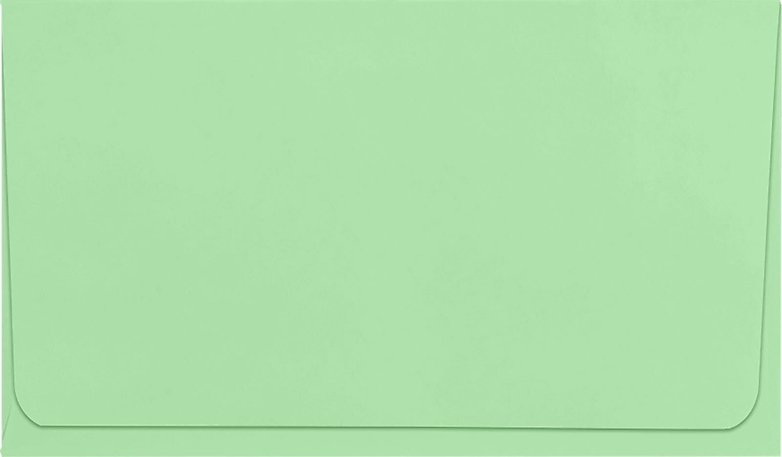 JAM Paper Booklet Envelope 3 1/2" x 6", Pastel Green, 50/Pack (R255-50)