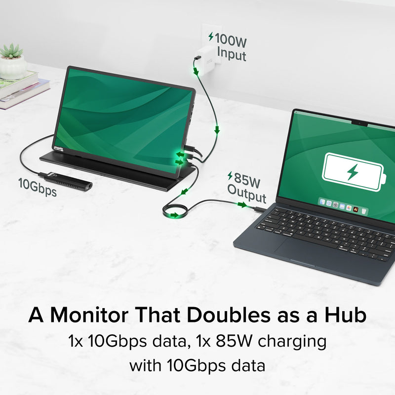 Plugable 15.6" USB-C Portable Display With Folding Travel Cover (USBC-PDMON)