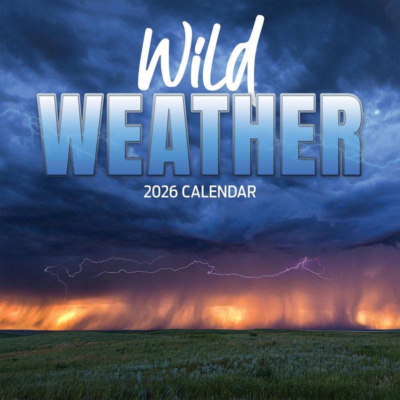 2026 TF Publishing Weather 12" x 12" Monthly Wall Calendar, Multi (26-1050)