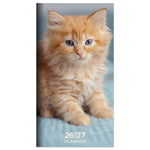 2026-2027 TF Publishing Kitten 3.5" x 6.5" Monthly, Paperboard Cover, Multicolored (26-7022)