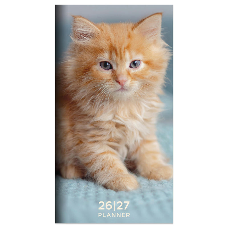 2026-2027 TF Publishing Kitten 3.5" x 6.5" Monthly, Paperboard Cover, Multicolored (26-7022)