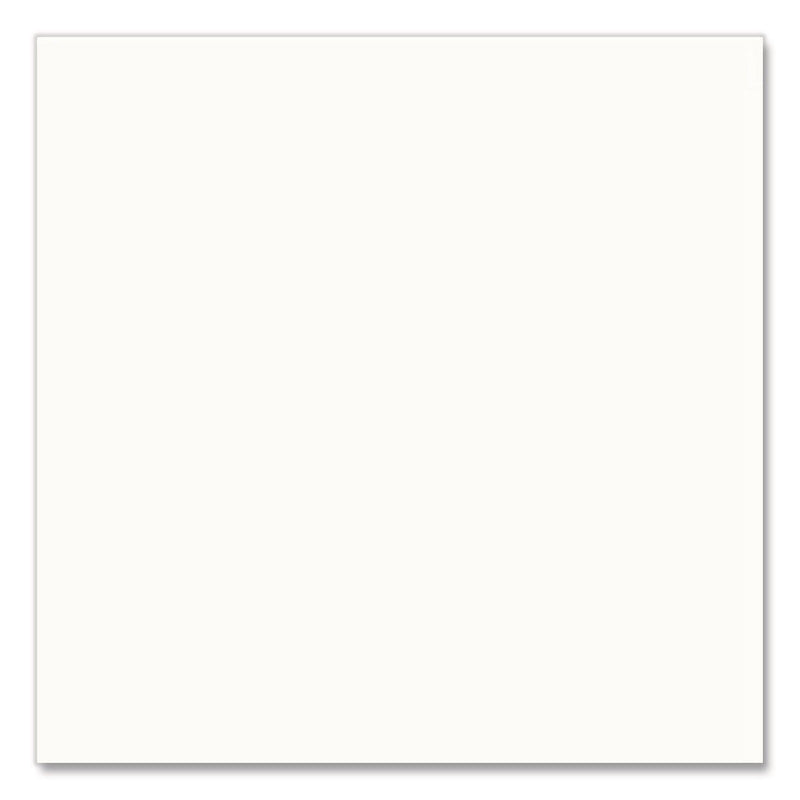 Rust-Oleum Universal Premium Spray Paint, White, 12 oz., 6/Carton (245199)