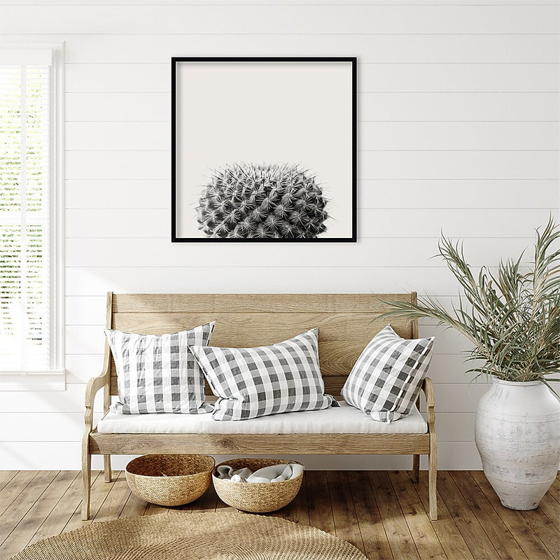 Amanti Art Haze Cactus Succulent by The Creative Bunch Studio Wood Framed Wall Art Print, 33" x 33" (A42675345780)