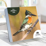 2026 TF Publishing 5.25" x 5.25" Daily Day-to-Day Calendar, (26-3068)