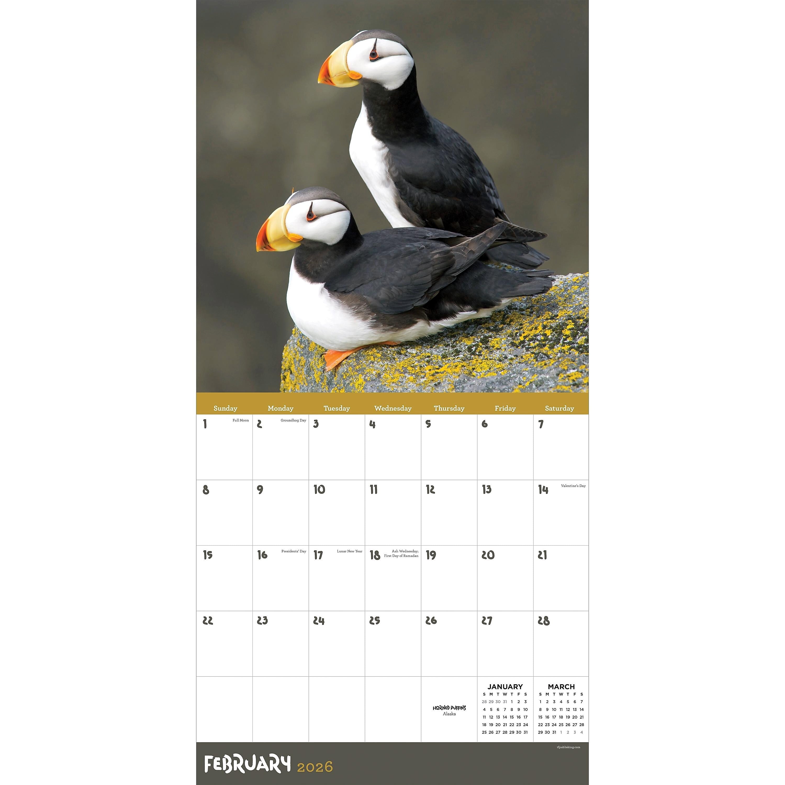 2026 TF Publishing Wild 12" x 12" Monthly Wall Calendar, Multi (26-1032)