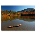 Trademark Fine Art 'The Adirondack Driftwood' 18" x 24" Canvas Art