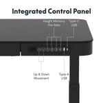 FlexiSpot EG9 48"W Electric Adjustable Glass Top Standing Desk, Black (EG9B-E)