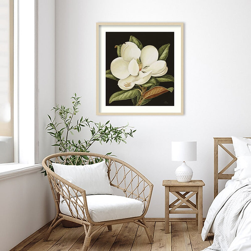 Amanti Art Magnolia Grandiflora 2003 by Jenny Barron Wood Framed Wall Art Print, 31" x 33" (A42675530231)
