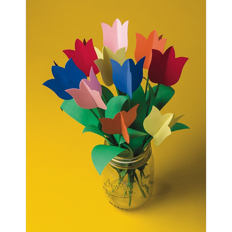 Pacon Tru-Ray 9" x 12" & 12" x 18" Construction Paper, Assorted Colors, 2,000 Sheets (P104120)