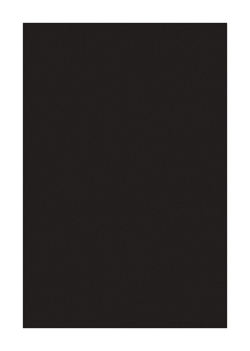 Spectra Deluxe Bleeding Art Tissue, 20" x 30", Black, 24 Sheets/Pack (P0059142)