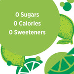 Ozarka Sparkling Water, Zesty Lime, 16.9 oz. Bottles, 24/Carton (12349550)