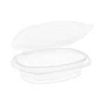 CONTAINER,PLASTIC HIN,CLR