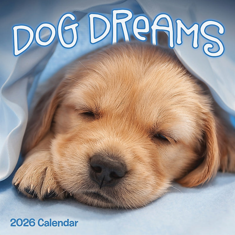 2026 TF Publishing Dog Dreams 12" x 12" Monthly Wall Calendar (26-1010)