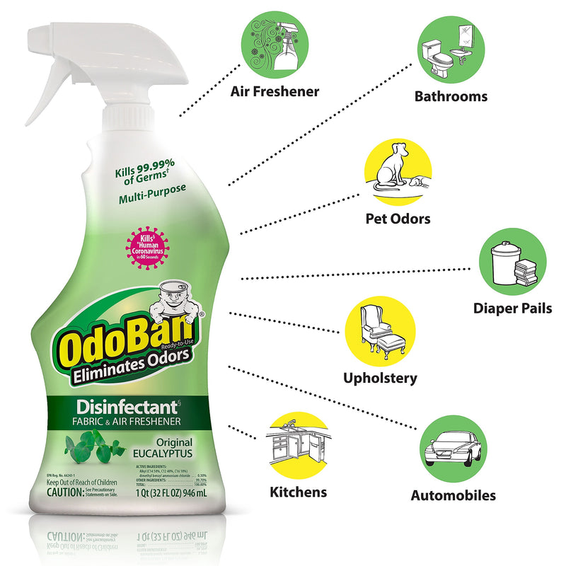 OdoBan Air Freshener & Deodorizer Spray, Original Eucalyptus Scent, 32 oz. (910061-Q6)