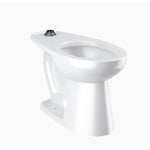 Sloan Floor-Mounted ADA Toilet Bowl with SloanTec Glaze (2172029)