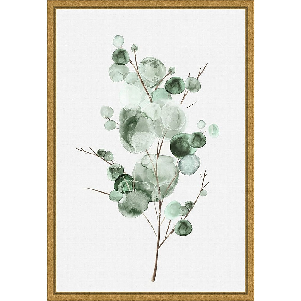 Amanti Art Tender Sprout I (Eucalyptus) by Eva Watts Framed Canvas Wall Art Print, 16" x 23" (A42675040760)