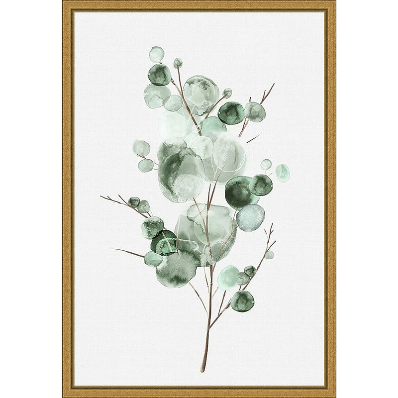 Amanti Art Tender Sprout I (Eucalyptus) by Eva Watts Framed Canvas Wall Art Print, 16" x 23" (A42675040760)