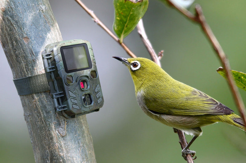 Technaxx TX-117 Mini Nature Wild Cam (4795)