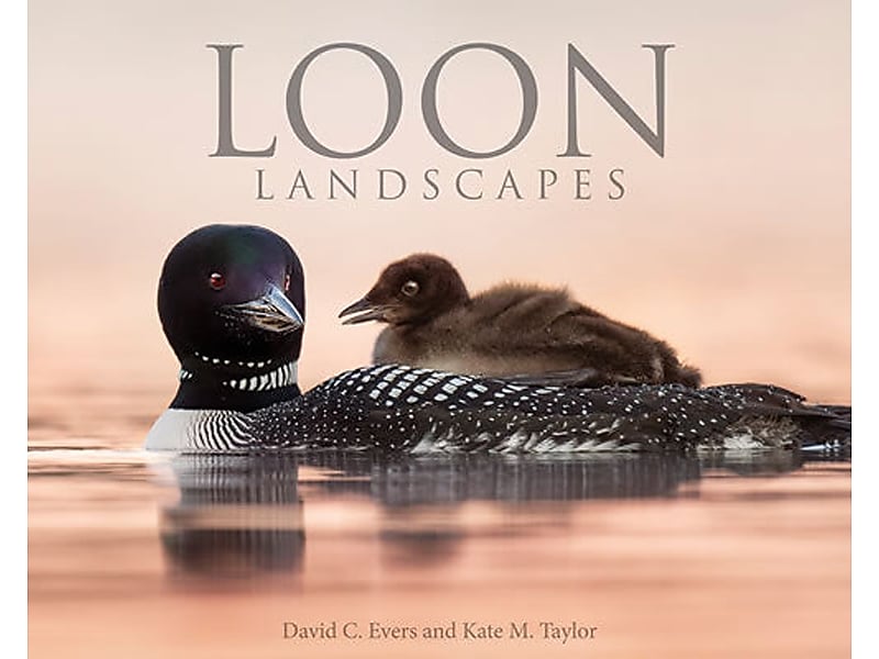 Loon Landscapes, Hardcover