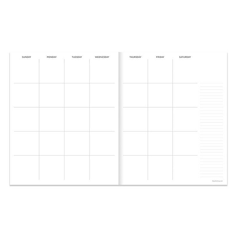 TF Publishing Money Planner 9" x 11" Undated Planner, Paperboard Cover, Multicolored (99-4725)