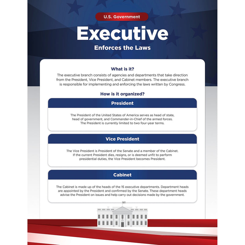 North Star Teacher Resources 17″ x 22″ U.S. Government Bulletin Board Set, 4/Set (NST3505)