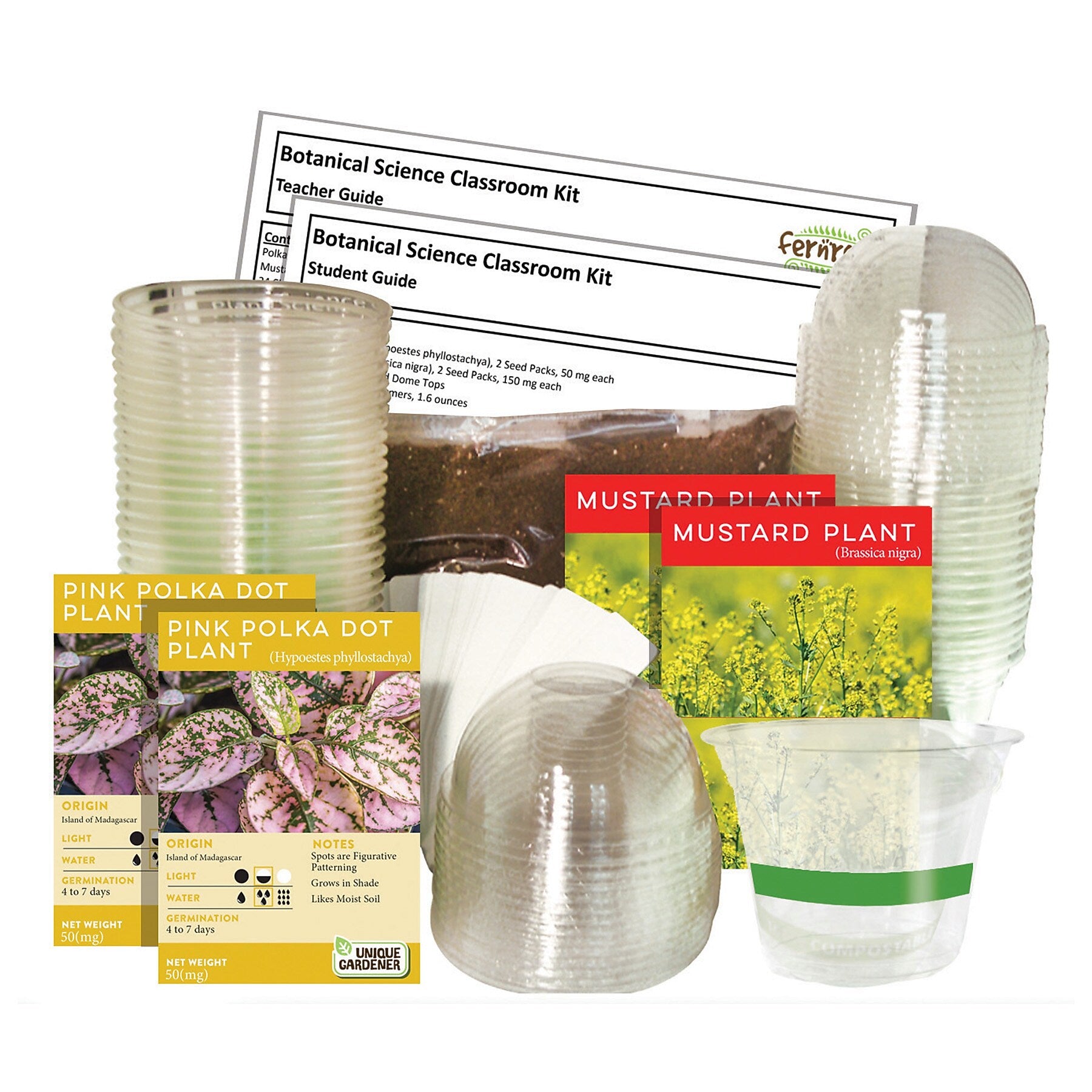 Fernroot Botanical Science Classroom Kit, Multicolored, 55/Set (SRCCKBS503)