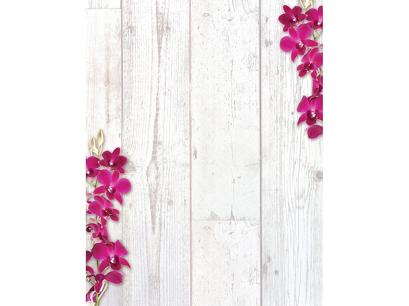 Great Papers Elegant Orchid Letterhead, Multicolor, 50/Pack (2023070)