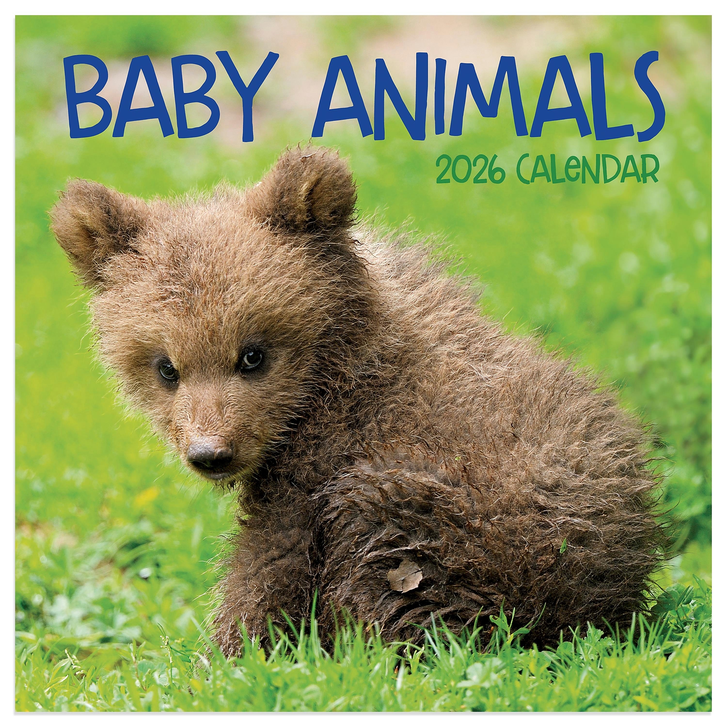 2026 TF Publishing 12" x 17" TF Publishing 7" x 7" TF Publishing 7" x 7" Baby Animals Mini Calendar 26-2000
