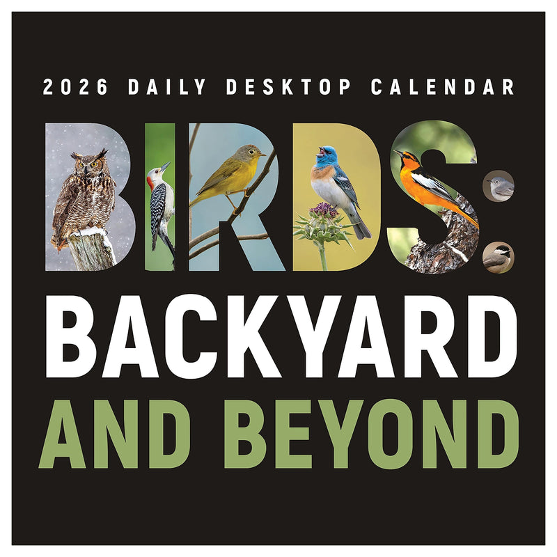 2026 TF Publishing 5.25" x 5.25" Daily Day-to-Day Calendar, (26-3068)