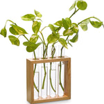 Supertek Square Plant Holder (SKFBLSP1003B)