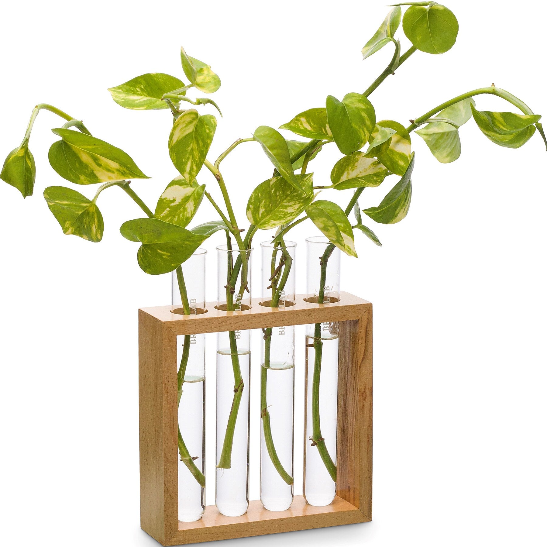 Supertek Square Plant Holder (SKFBLSP1003B)