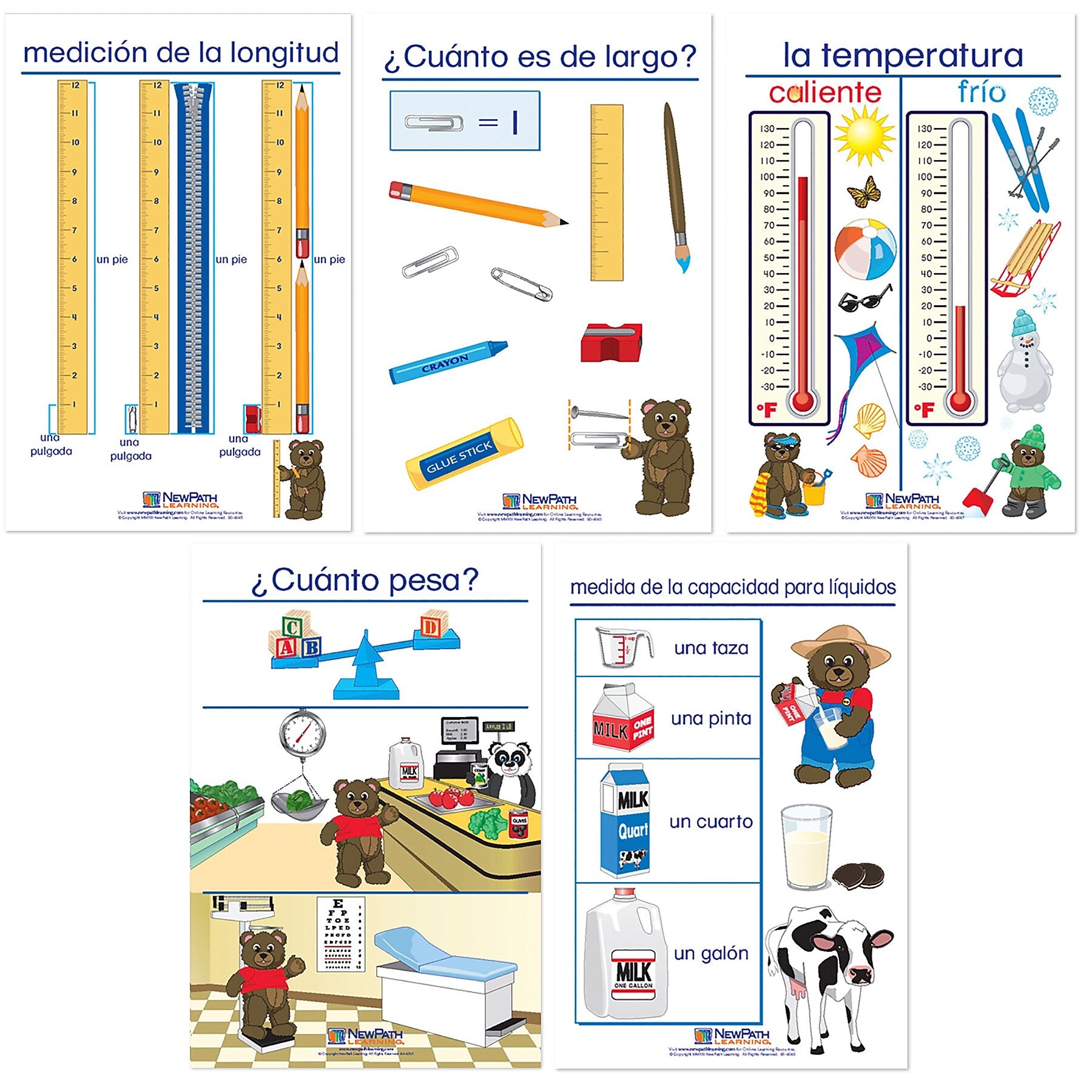 NewPath Learning Measurement Bulletin Board Charts, Spanish Edition, 5/Set (NP-930328)