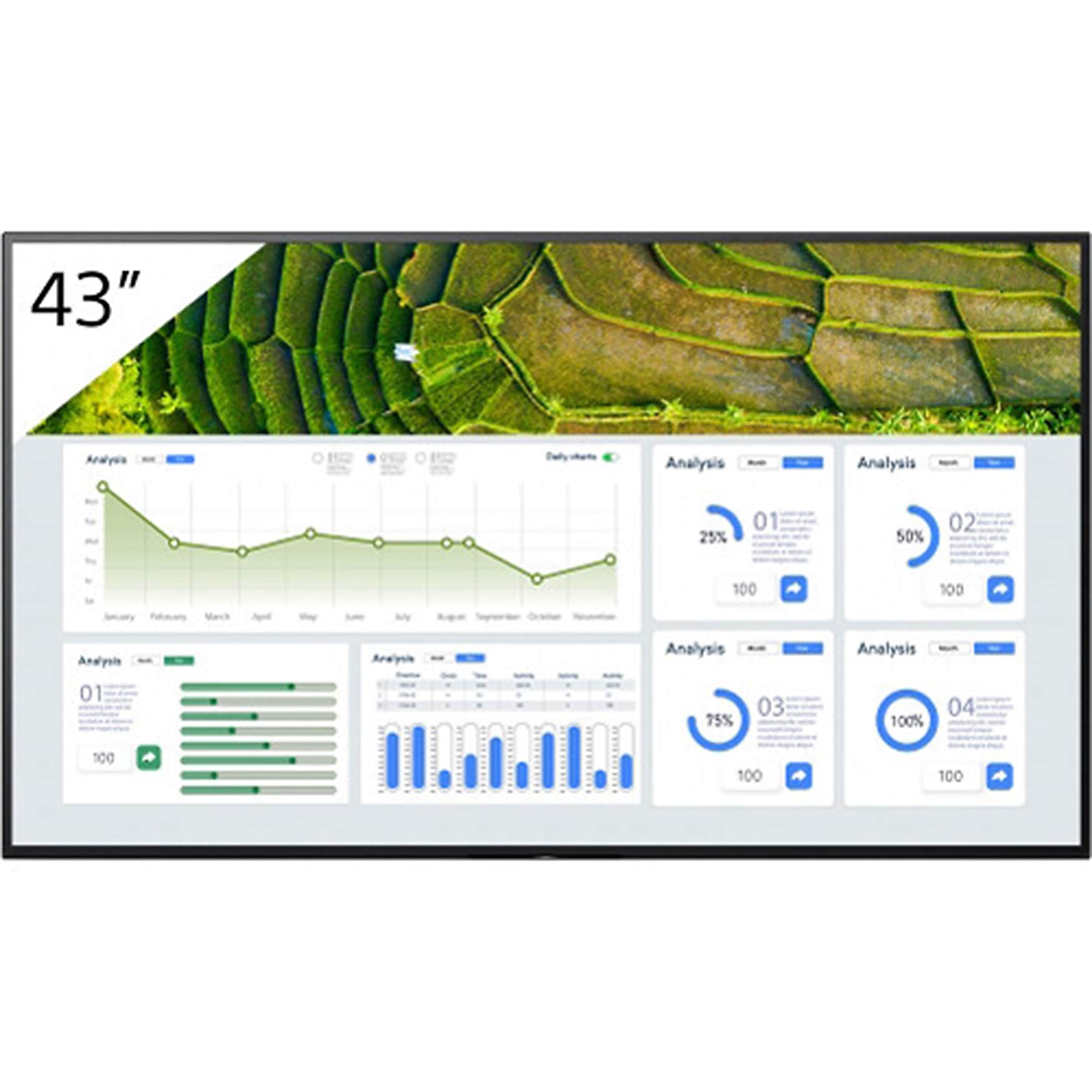 Sony BZ30L Professional 43" Wall-Mounted Commerical Monitor for Digital Signage (FW-43BZ30L)
