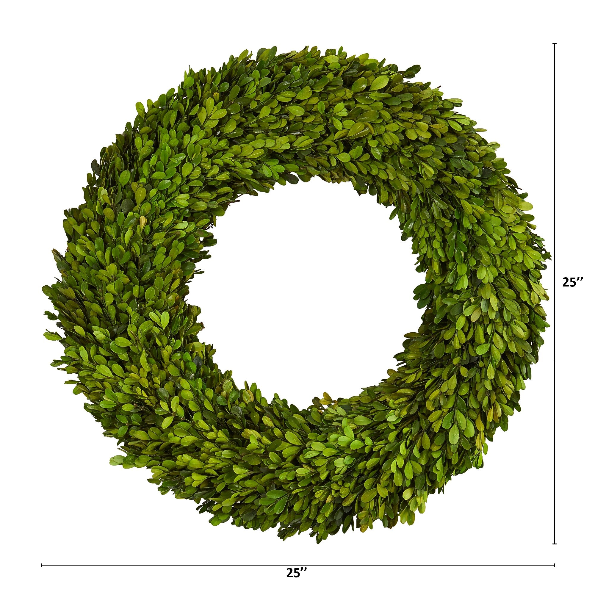 Nearly Natural 24-in Preserved Boxwood Wreath (4375)