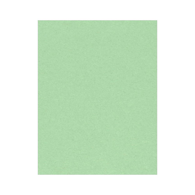 LUX 8.5" x 11" Color Business Paper, 24 lbs. Pastel Green, 1,000 Sheets/Ream (81211-P-67-1000)