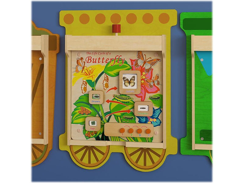 Flash Furniture Bright Beginnings Butterfly Life Cycle Wall Activity Board (MK-ME12883-GG)