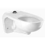 Sloan Wall Mounted Vitreous China Toilet Bowl (2102459)