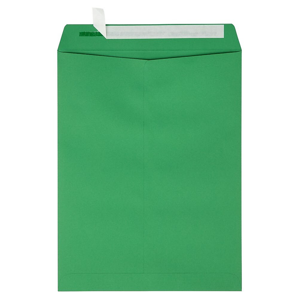 JAM Paper Self Seal Nonstandard Envelope, 9" x 12", Holiday Green, 250/Pack (FE-7280-12-250)