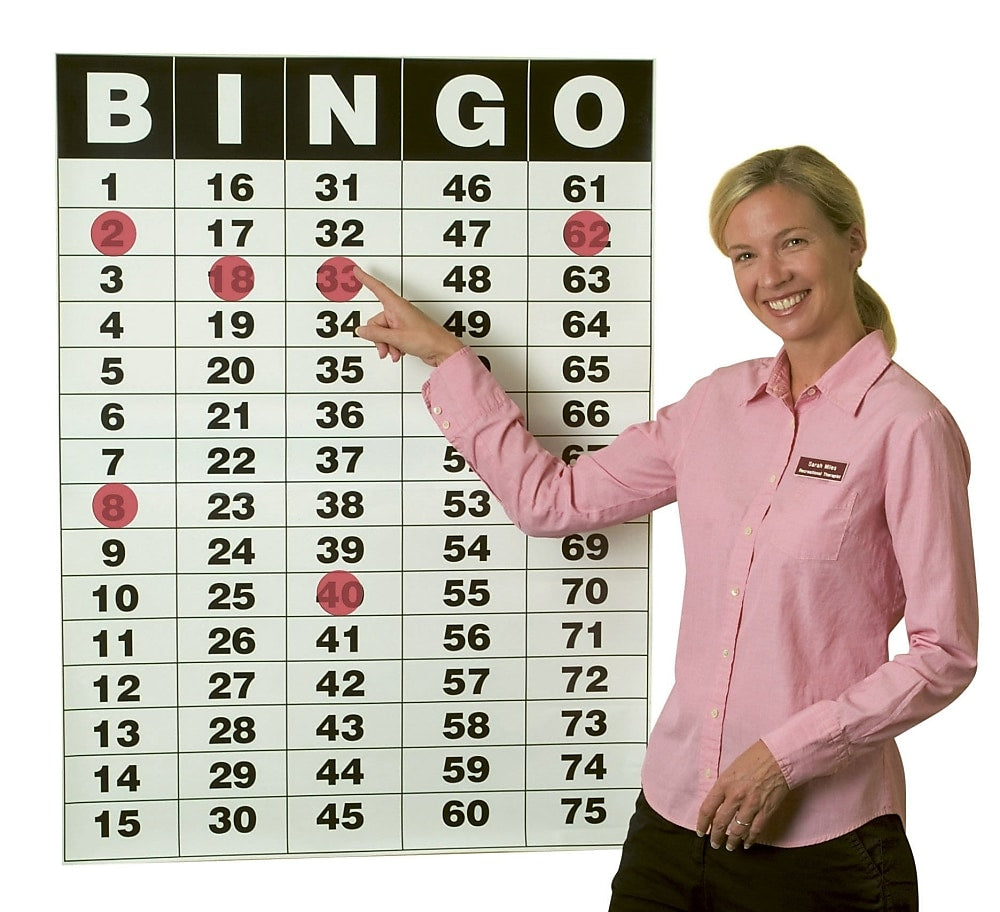S&S Worldwide Bingo Masterboard Poster and Static Cling Chips, 75/Pack (19303)