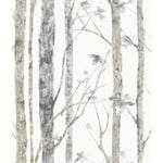 York Wallcoverings Birch Trees Peel and Stick Wallpaper (RMK9047WP)